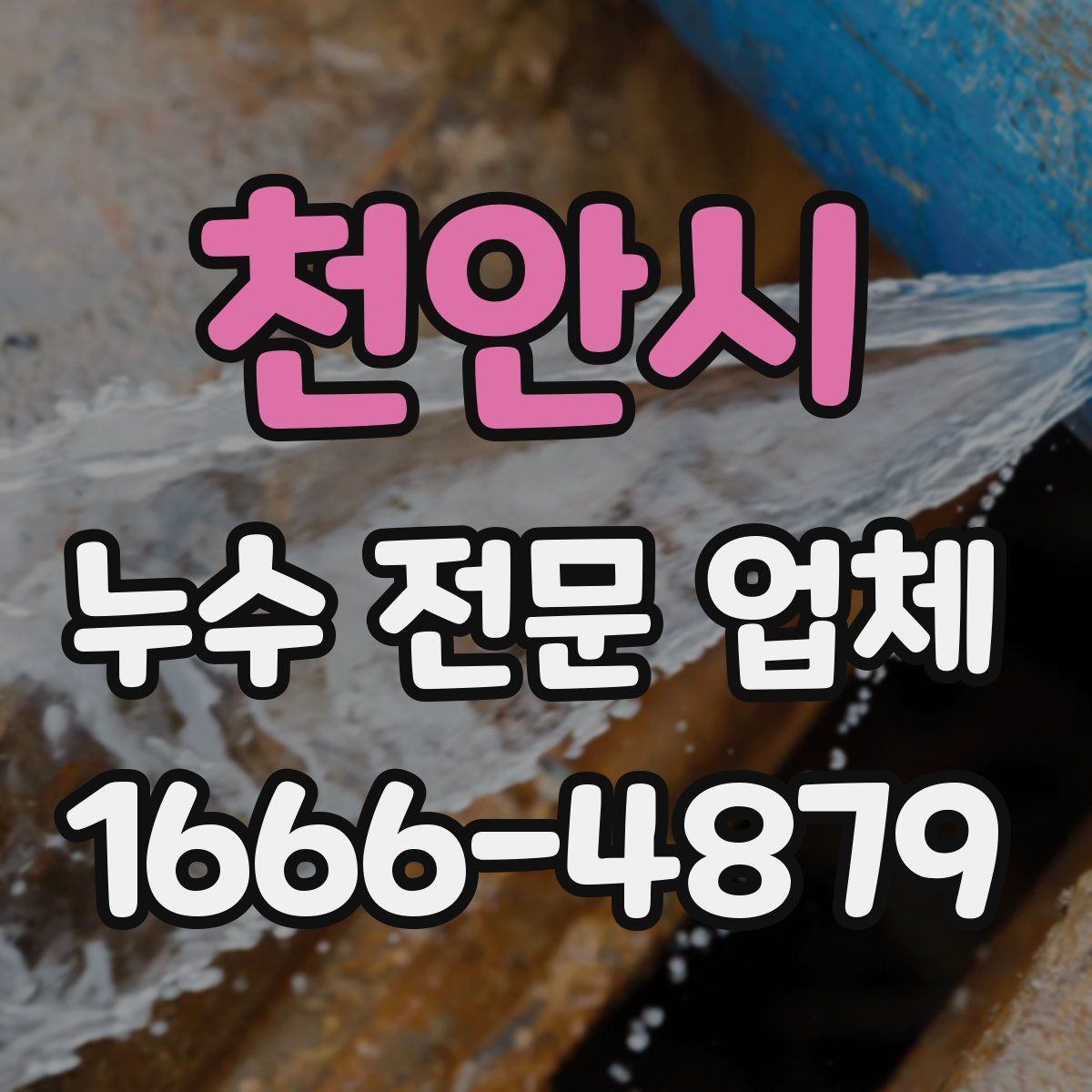 천안시 누수 전문 업체