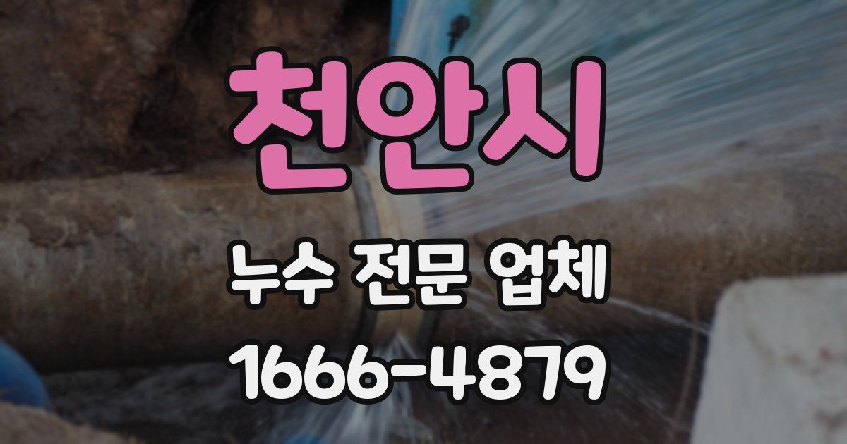 천안시 누수 전문 업체