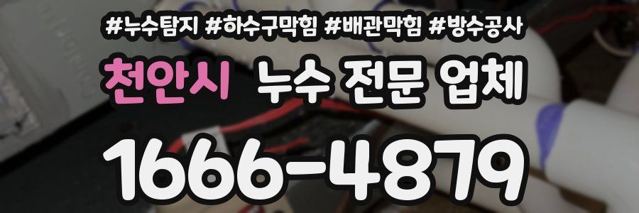 천안시 누수 전문 업체