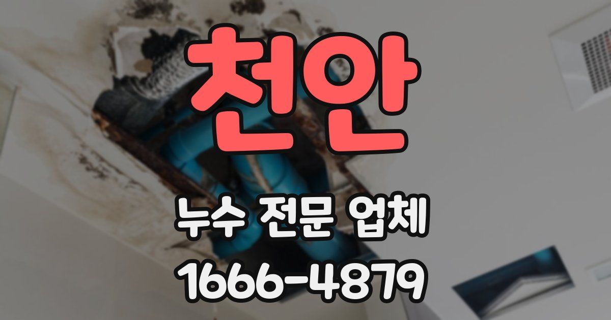 천안 누수 전문 업체