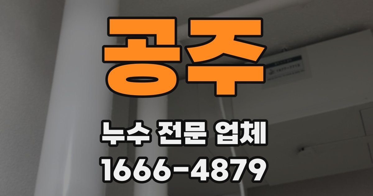 공주 누수 전문 업체