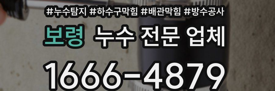 보령 누수 전문 업체