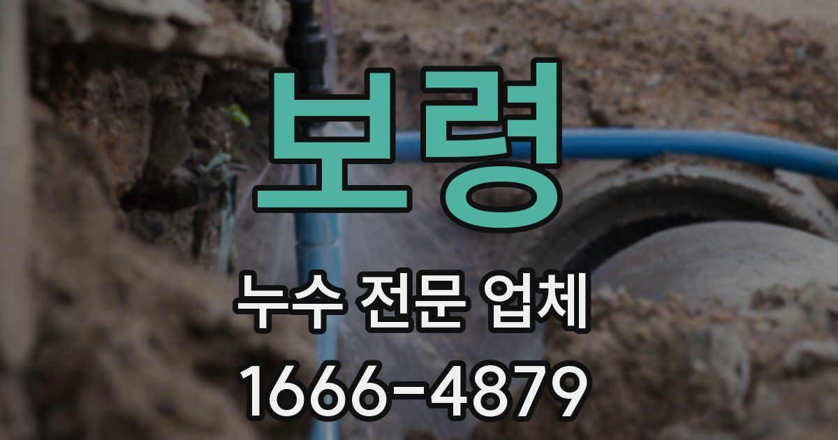 보령 누수 전문 업체