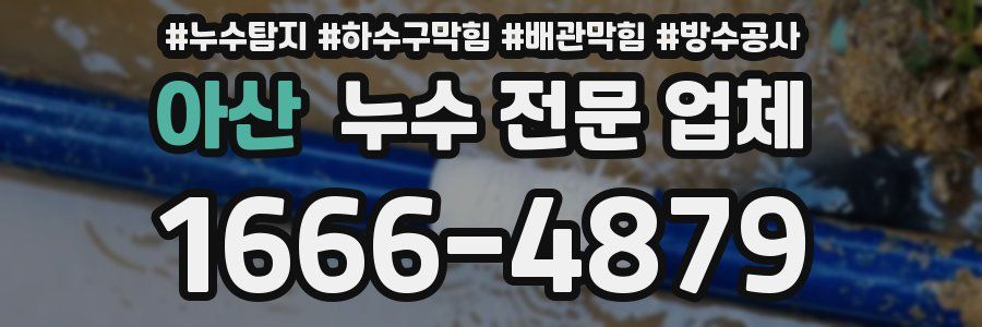아산 누수 전문 업체