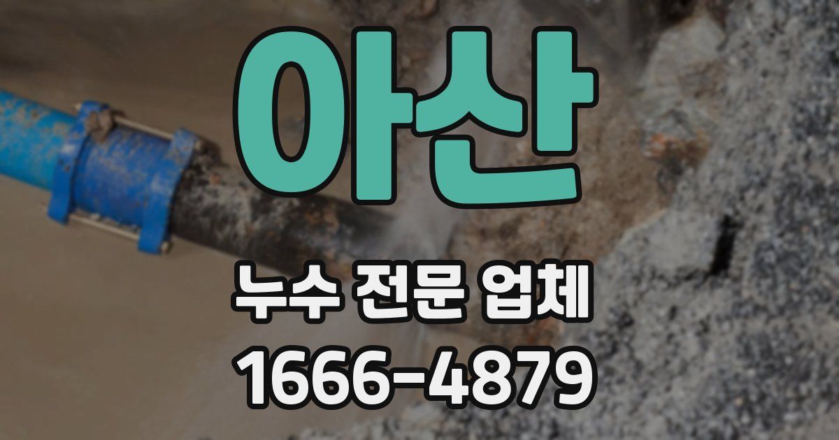 아산 누수 전문 업체