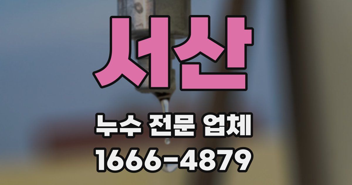 서산 누수 전문 업체