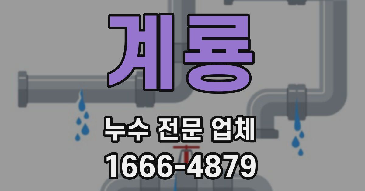 계룡 누수 전문 업체