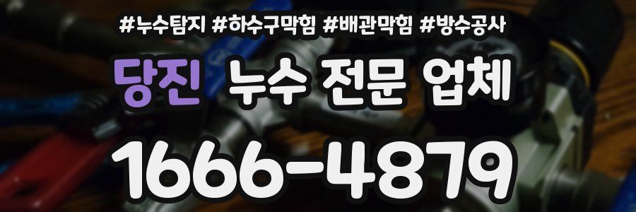 당진 누수 전문 업체