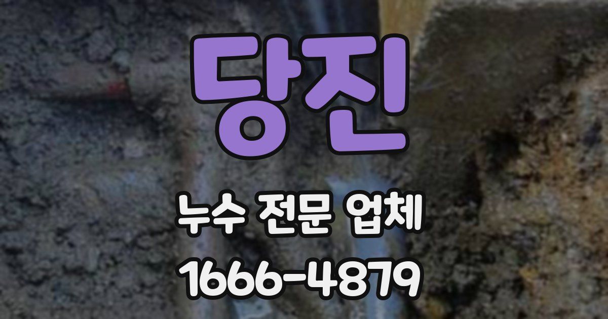 당진 누수 전문 업체