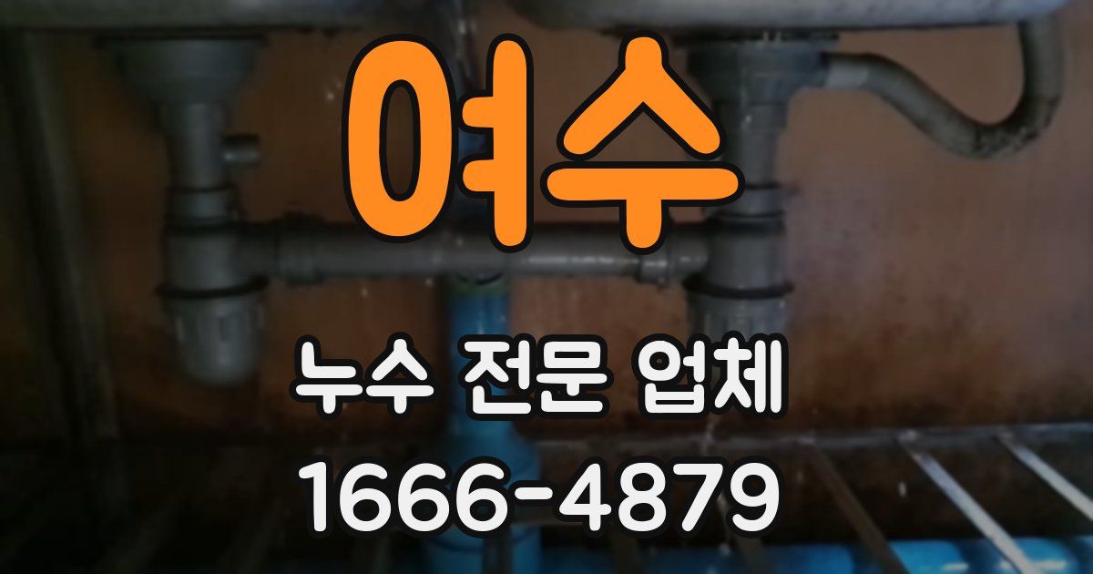 여수 누수 전문 업체