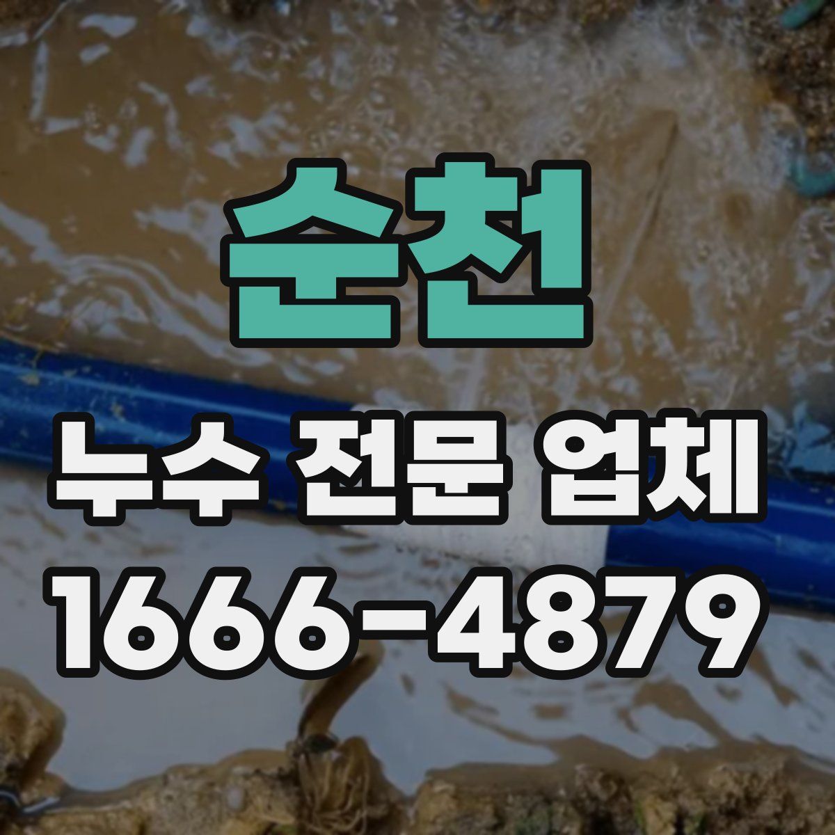 순천 누수 전문 업체