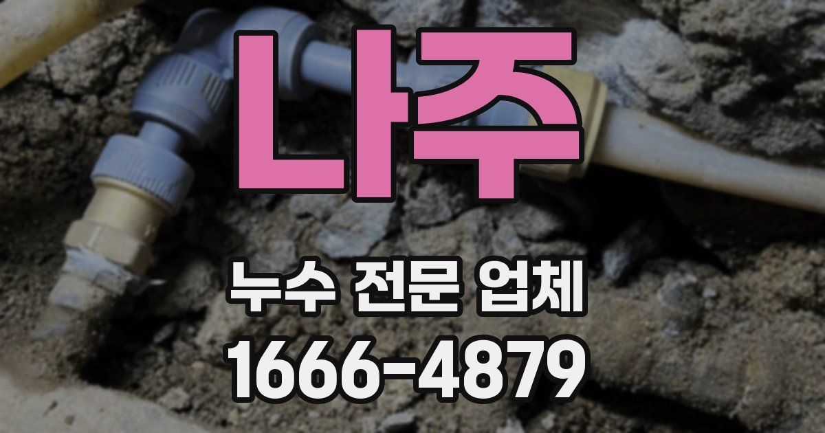 나주 누수 전문 업체