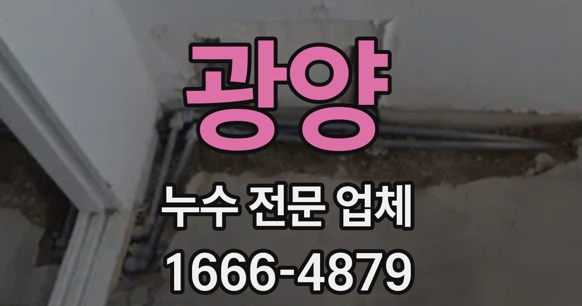 광양 누수 전문 업체