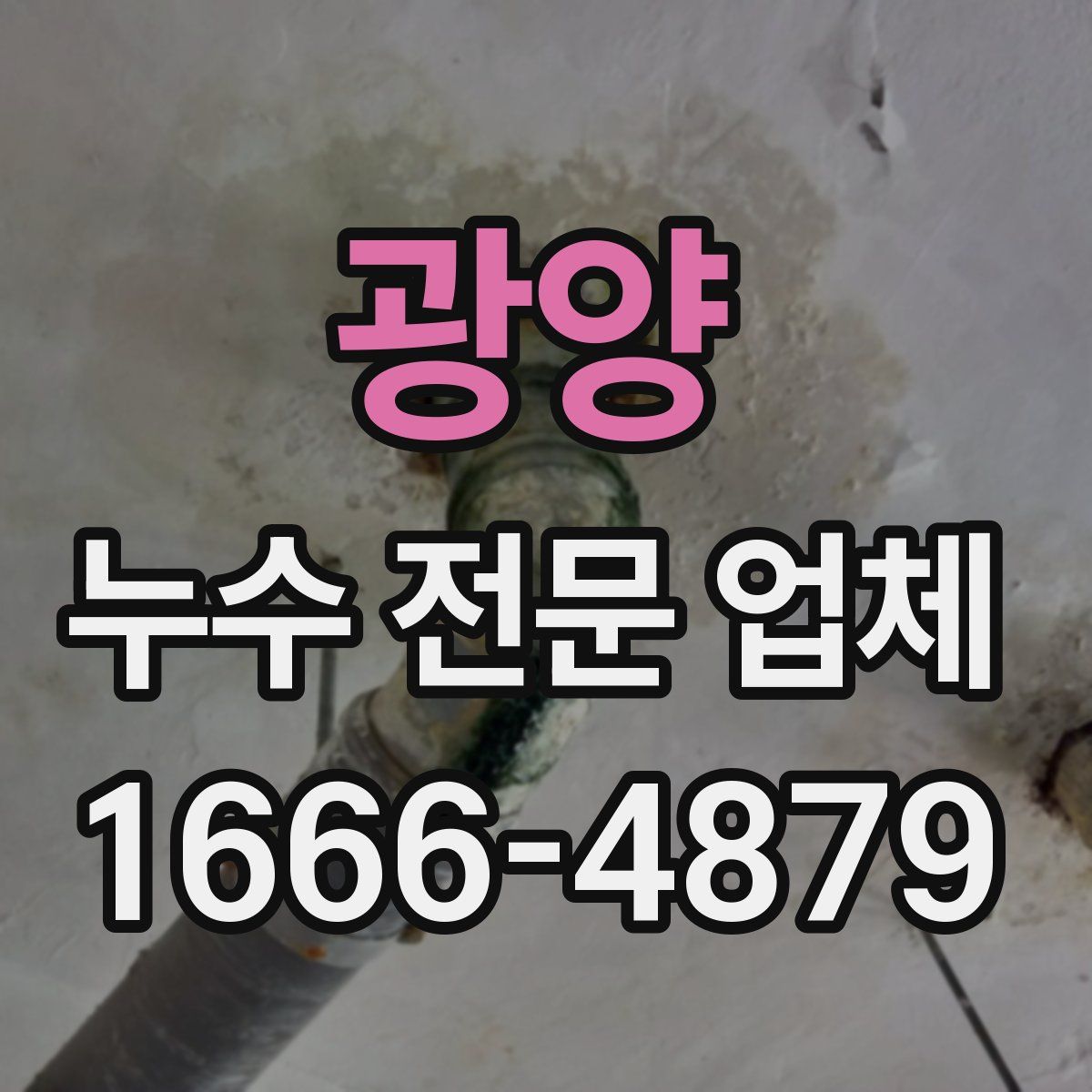 광양 누수 전문 업체