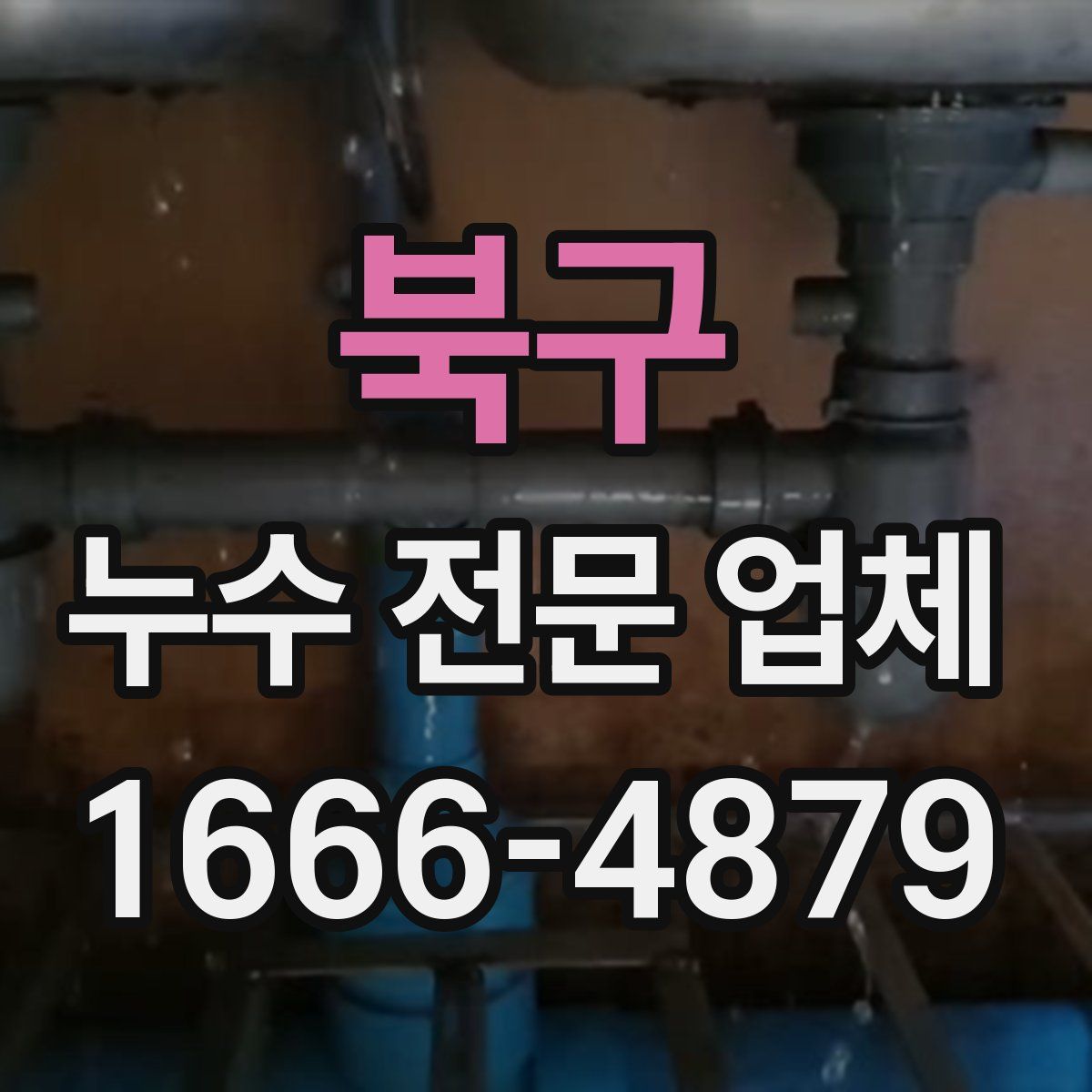 북구 누수 전문 업체