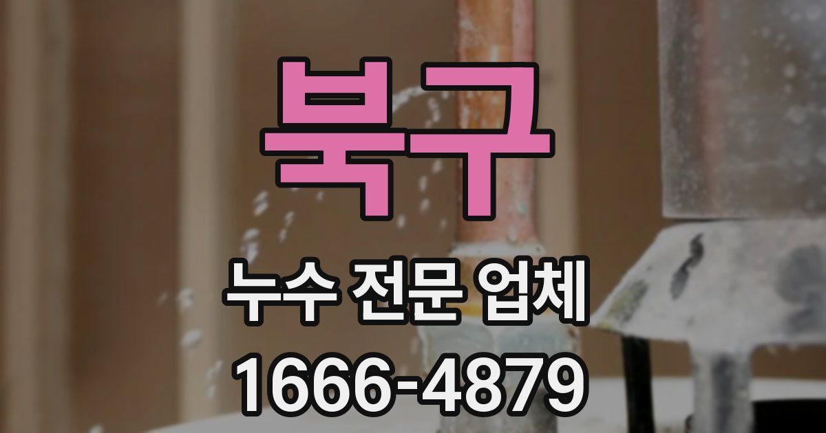 북구 누수 전문 업체