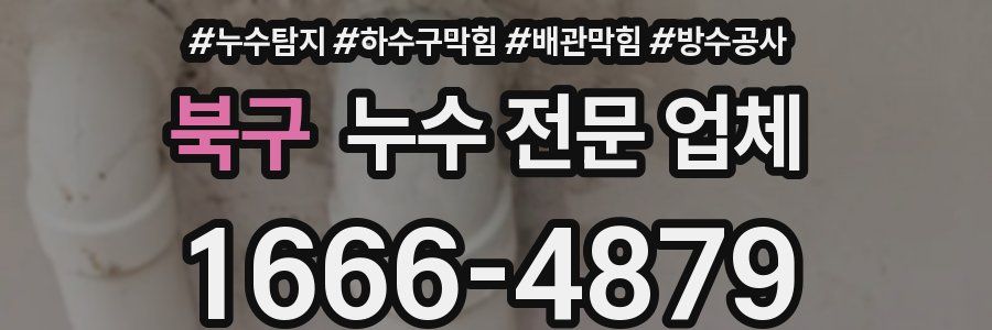 북구 누수 전문 업체