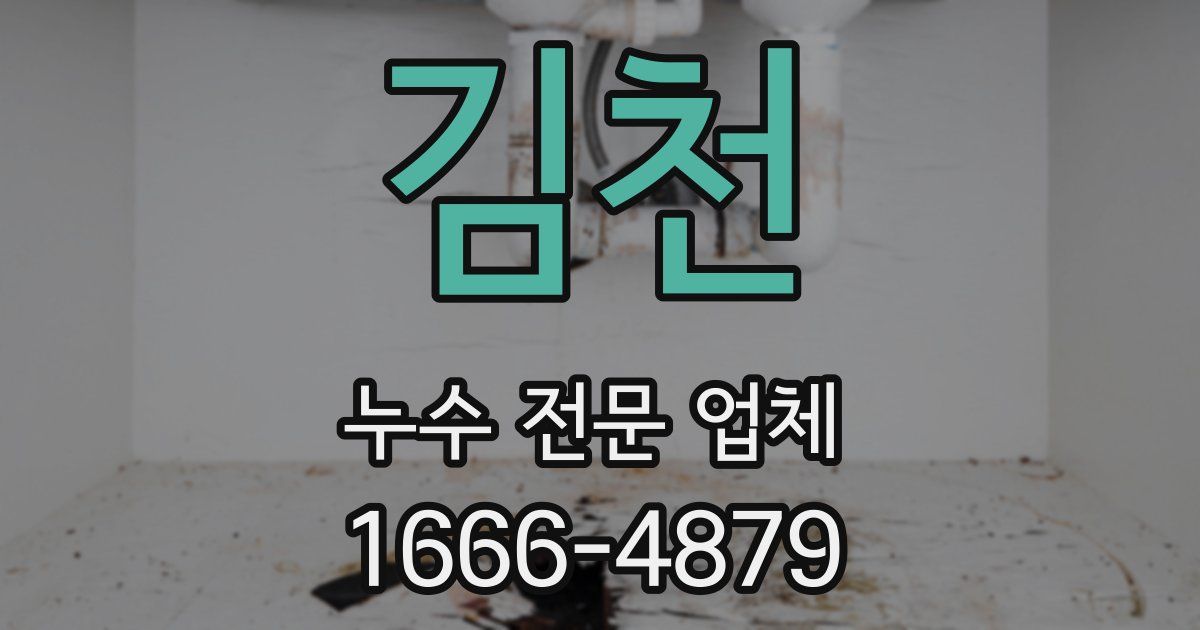 김천 누수 전문 업체