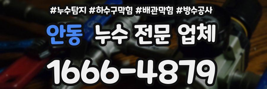 안동 누수 전문 업체