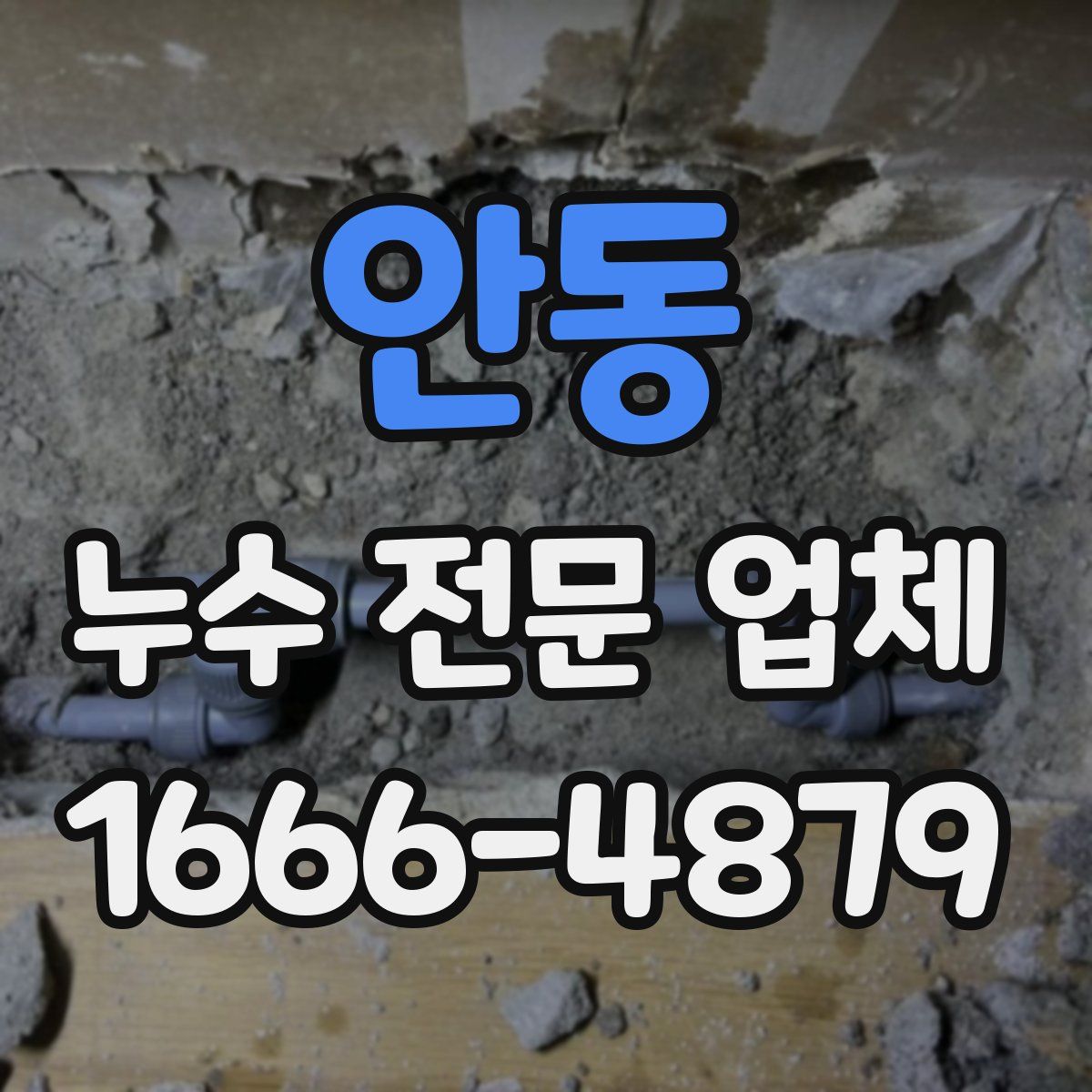안동 누수 전문 업체