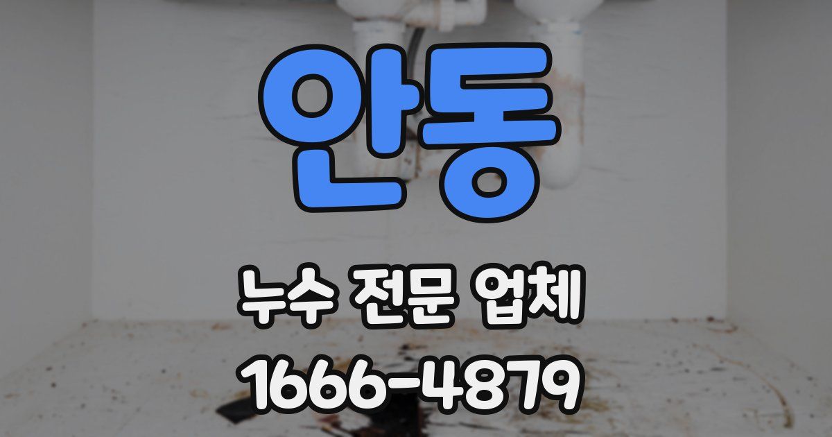 안동 누수 전문 업체