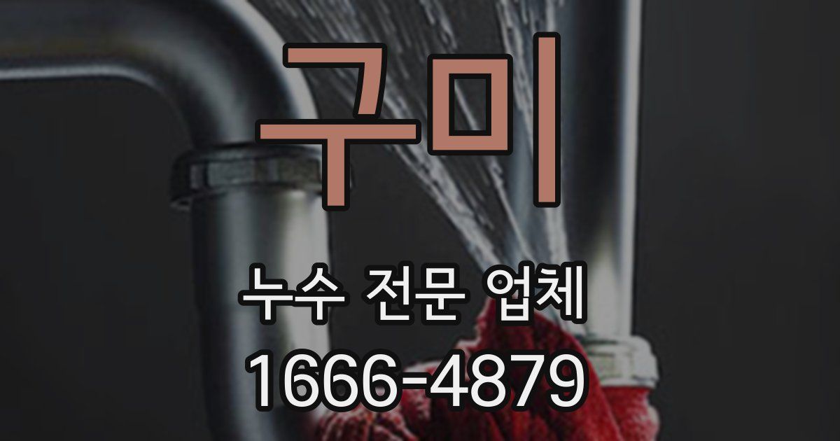 구미 누수 전문 업체