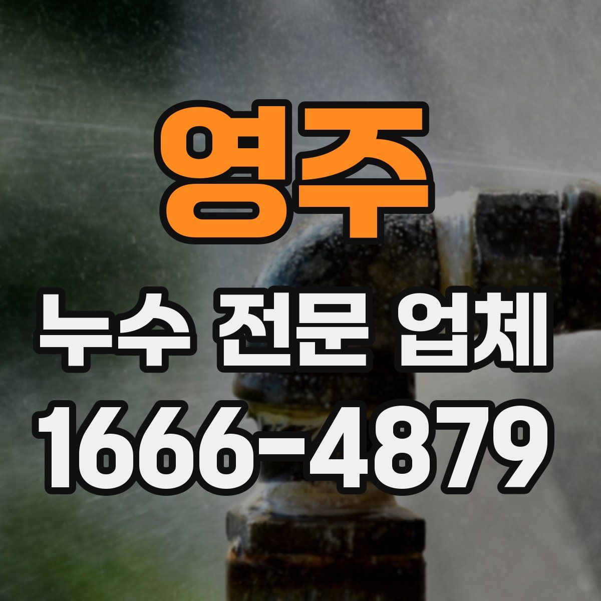 영주 누수 전문 업체