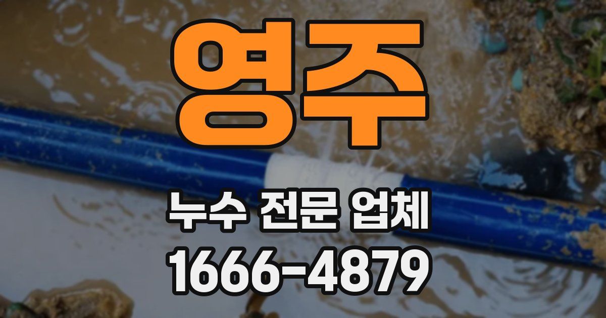 영주 누수 전문 업체