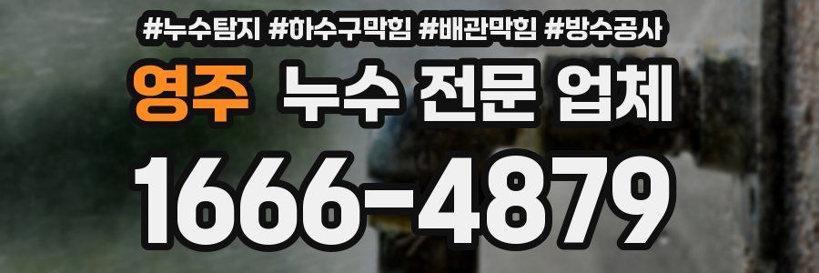 영주 누수 전문 업체