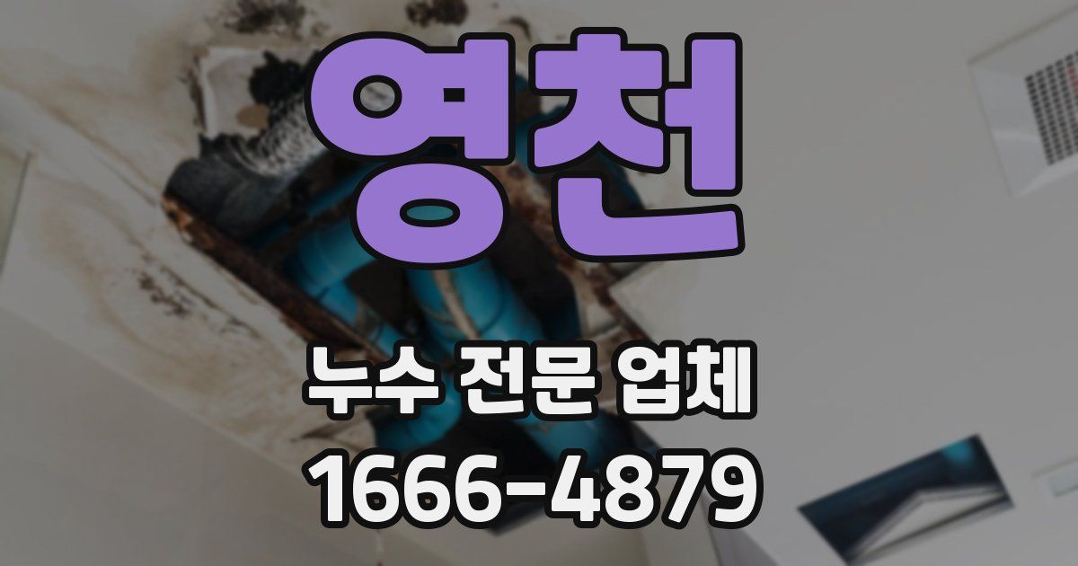 영천 누수 전문 업체