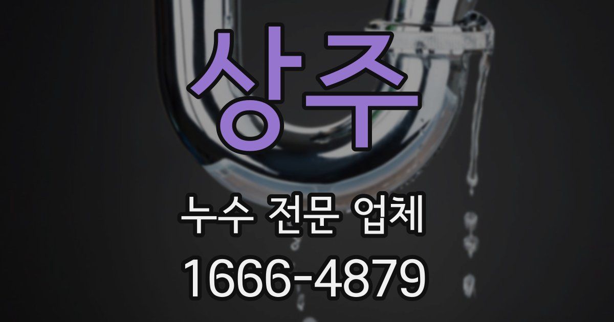 상주 누수 전문 업체