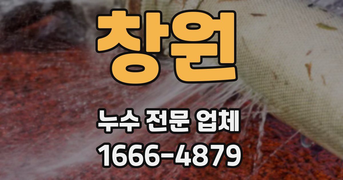 창원 누수 전문 업체
