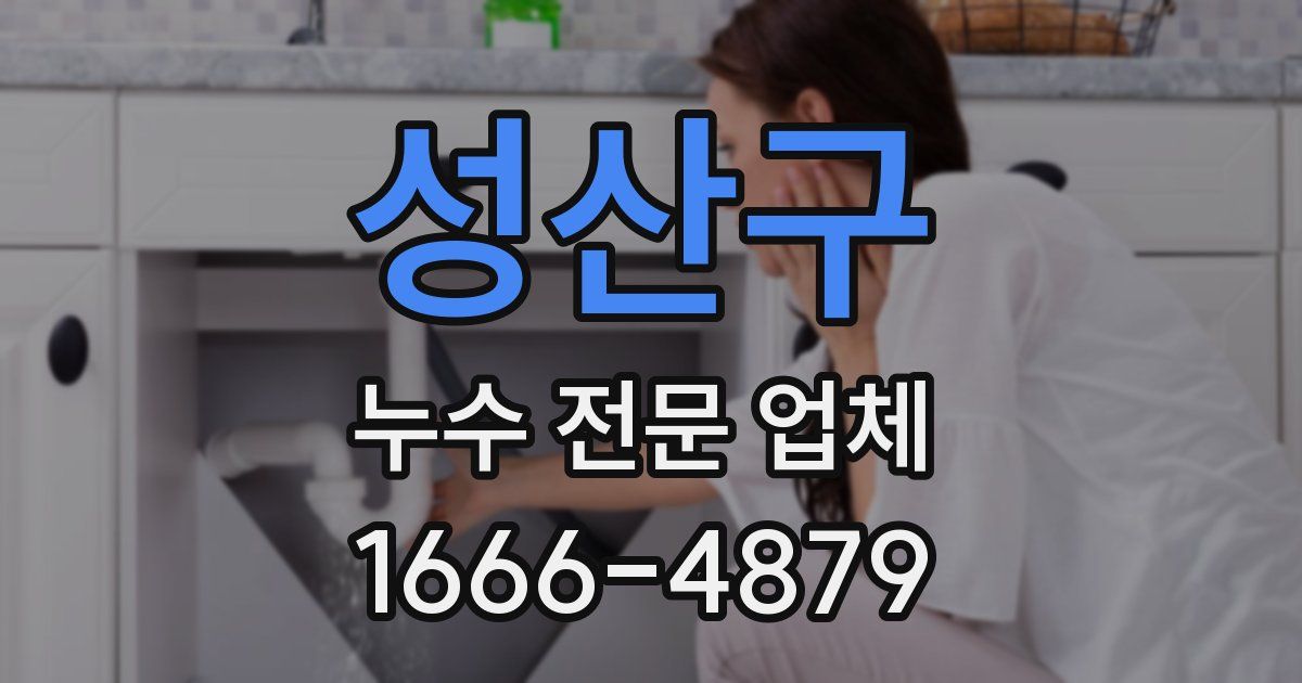 성산구 누수 전문 업체