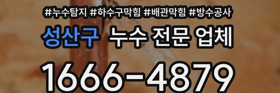 성산구 누수 전문 업체