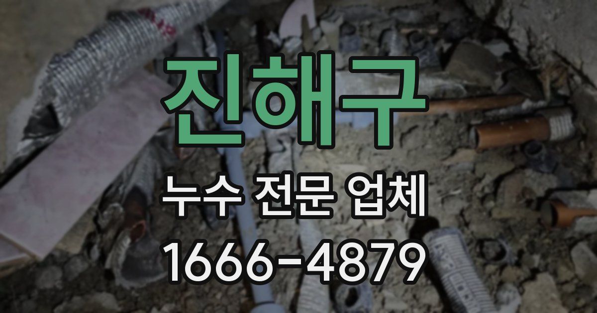 진해구 누수 전문 업체