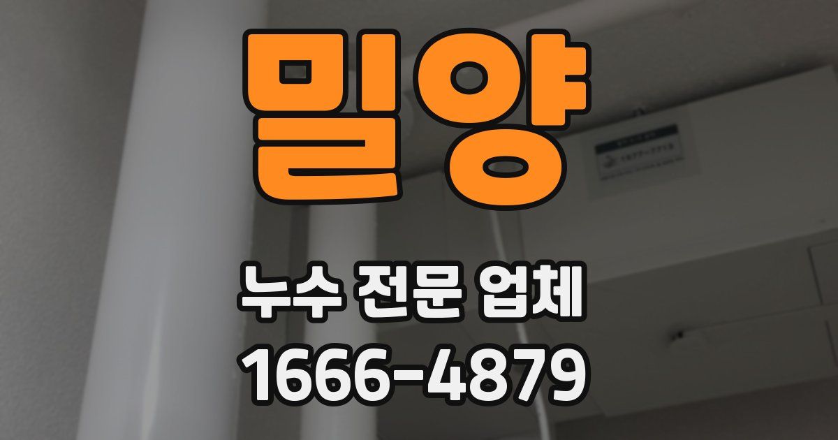 밀양 누수 전문 업체