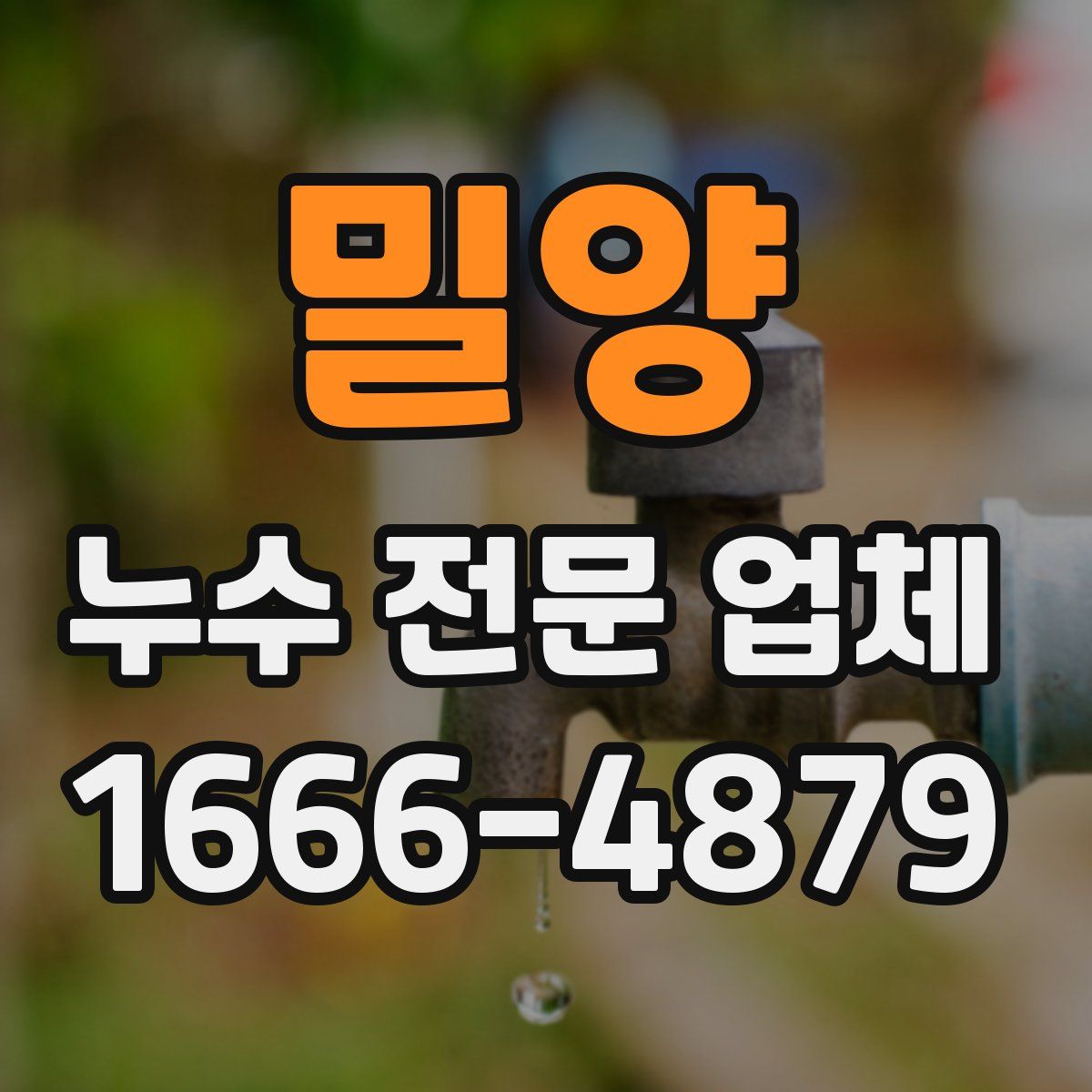 밀양 누수 전문 업체