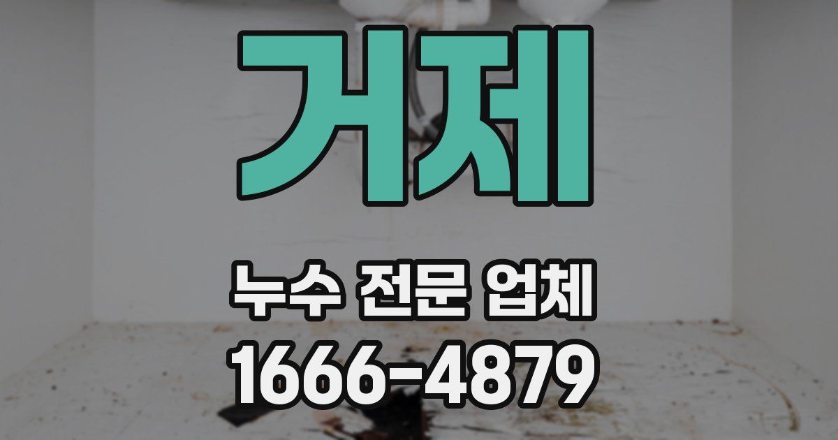 거제 누수 전문 업체