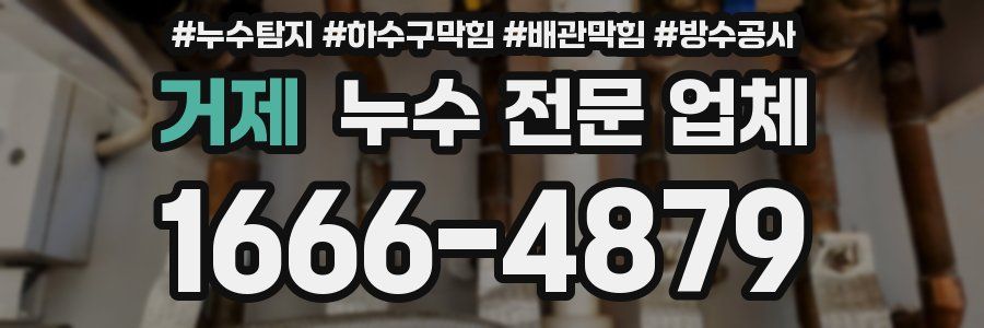 거제 누수 전문 업체