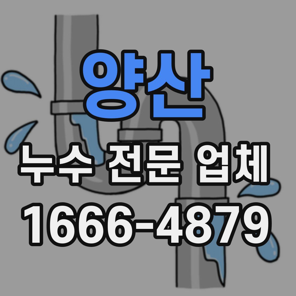 양산 누수 전문 업체