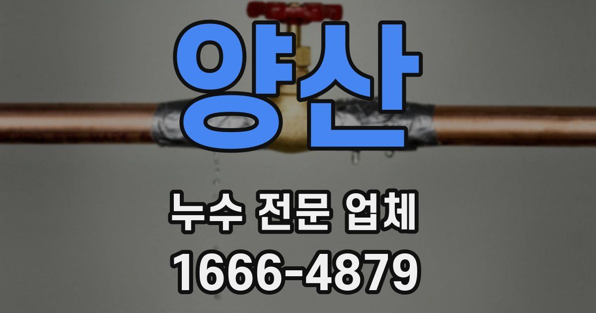 양산 누수 전문 업체