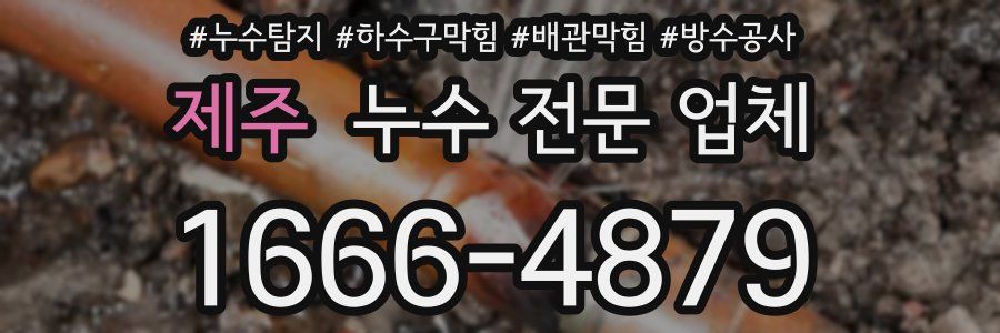제주 누수 전문 업체
