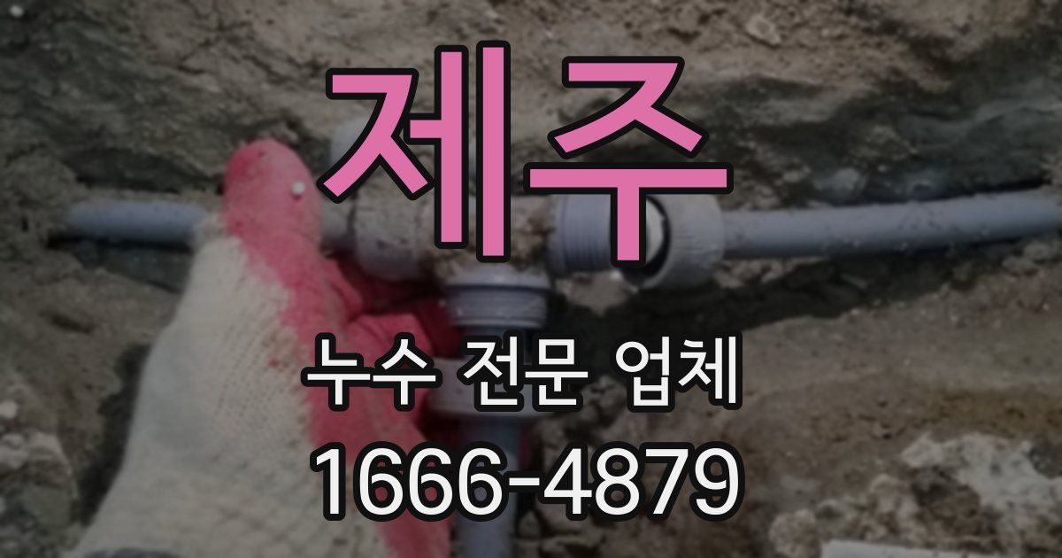 제주 누수 전문 업체