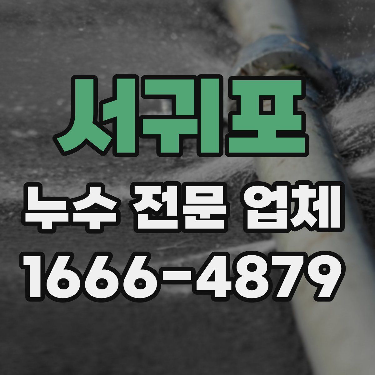 서귀포 누수 전문 업체