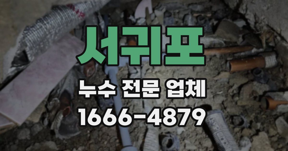 서귀포 누수 전문 업체