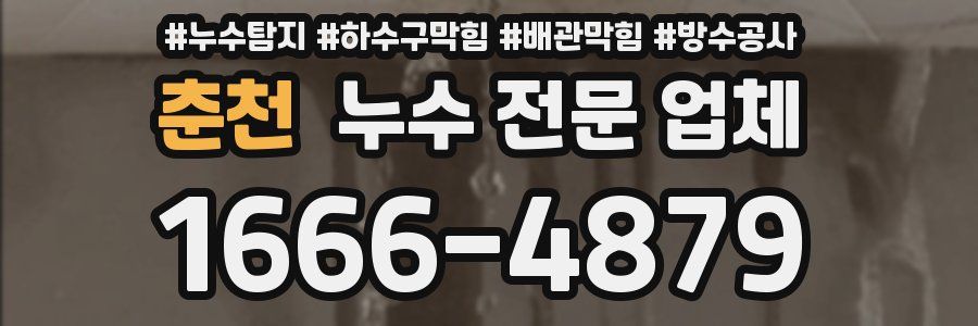 춘천 누수 전문 업체