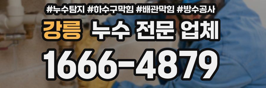 강릉 누수 전문 업체