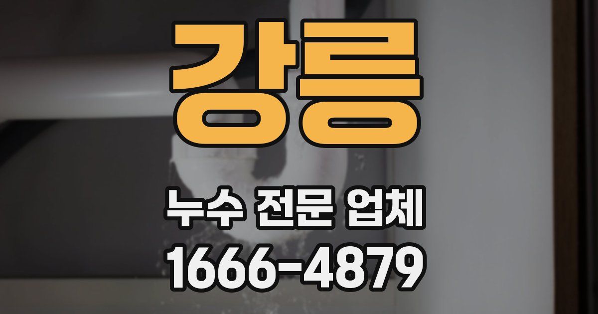 강릉 누수 전문 업체