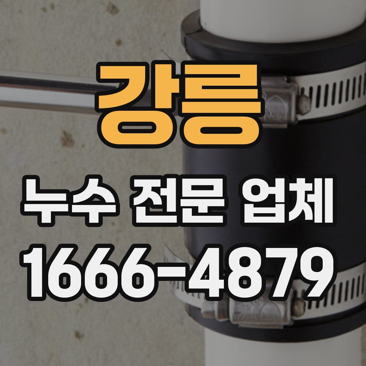 강릉 누수 전문 업체