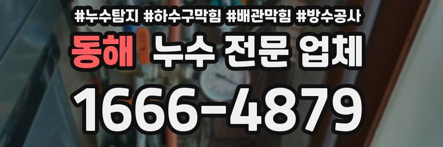 동해 누수 전문 업체